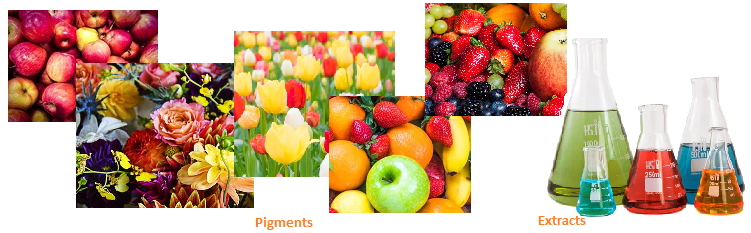 plant pigments