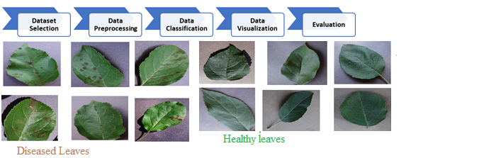leaf disease identification imaging