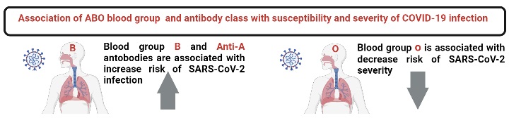 Blood group and COVID-19