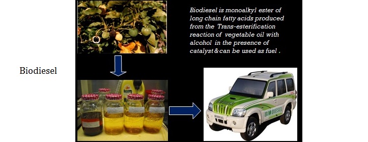 Impact of biodiesel on Combustion, Performance and Exhaust ...