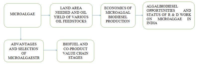 Biodiesel from microalgae