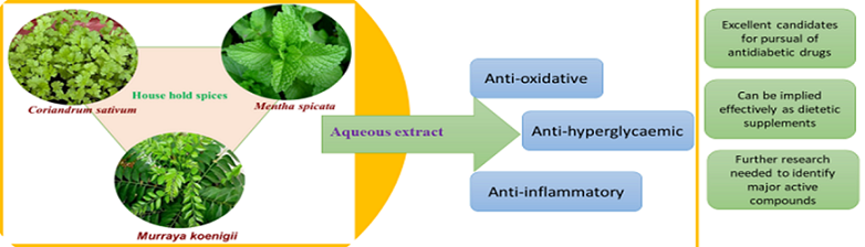 mentha phytochemicals