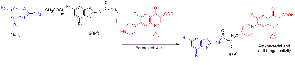 ciprofloxacin with benzothiazoles