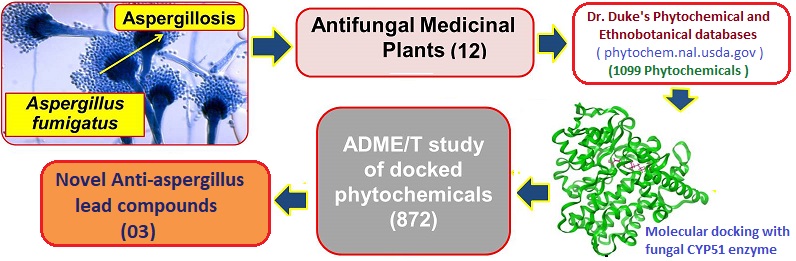 antifungal compounds docking